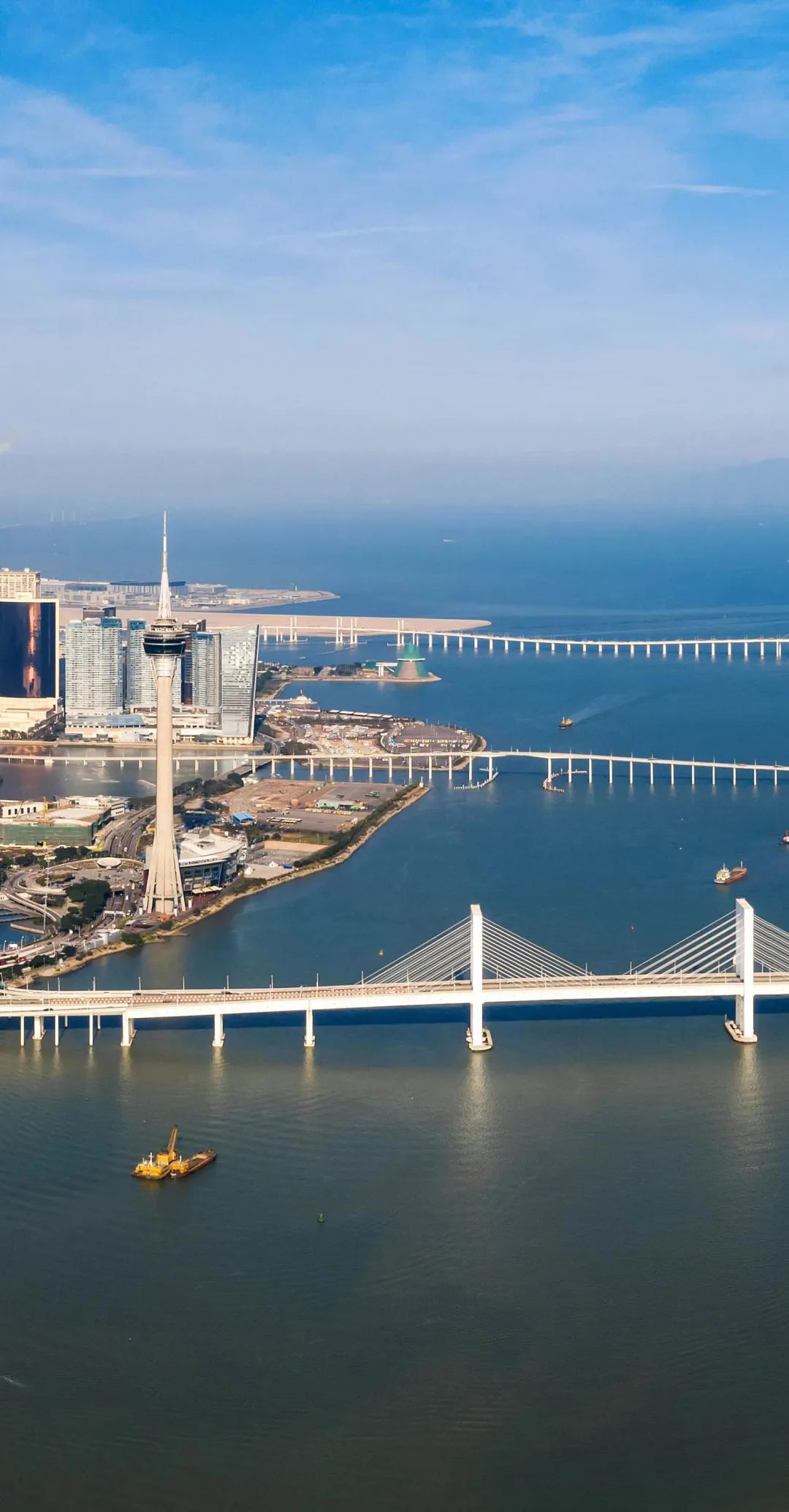 这种澳门太激荡了