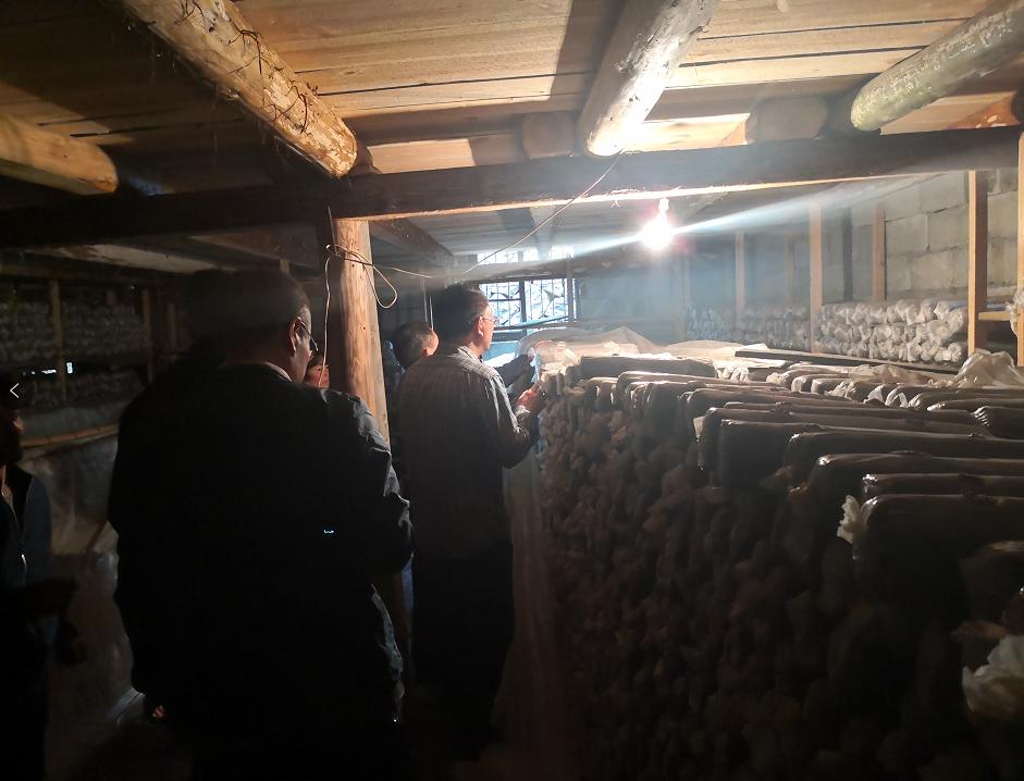 2019年7月20日丽水新闻,丽水新闻快讯