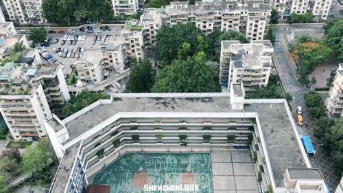 LOOK|这，就是园岭