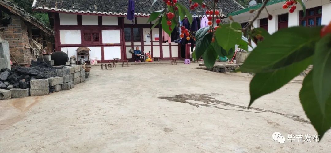 扶贫走出大山视频,脱贫致富大步向前走