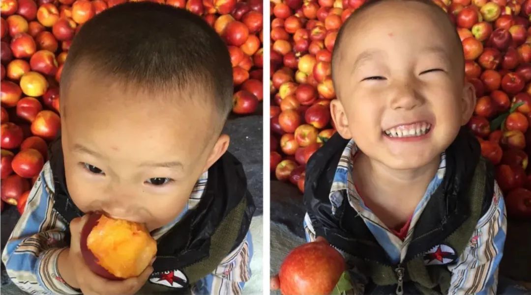 油桃汁水,黄心油桃5斤应季大桃子