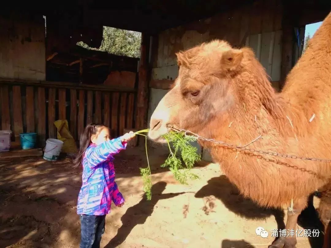淄博景区半价,淄博3月底免费景点免费开放通知