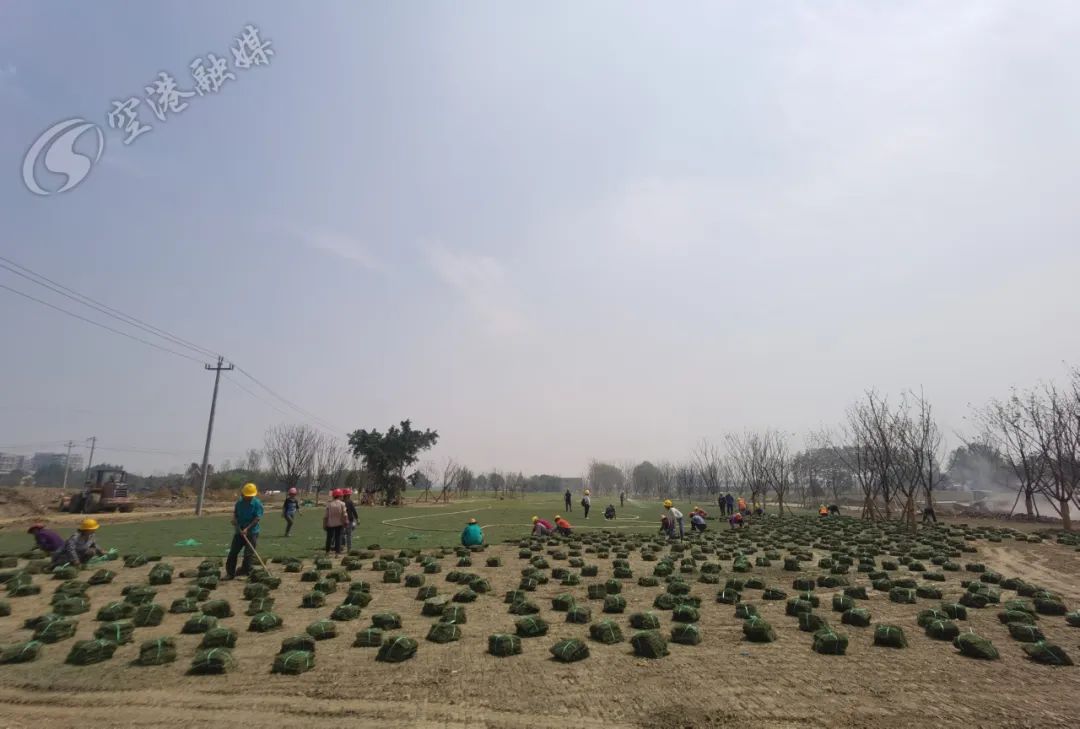 空港体育公园什么时候去,2024年空港体育公园