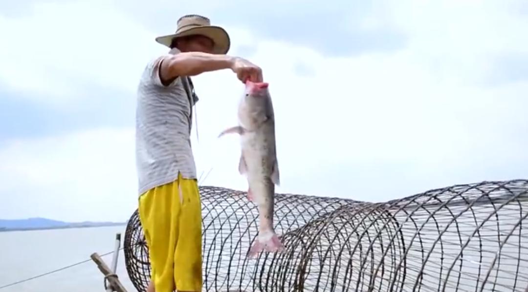 发扬战“疫”正能量！上周，佛山52次登上“学习强国”全国平台