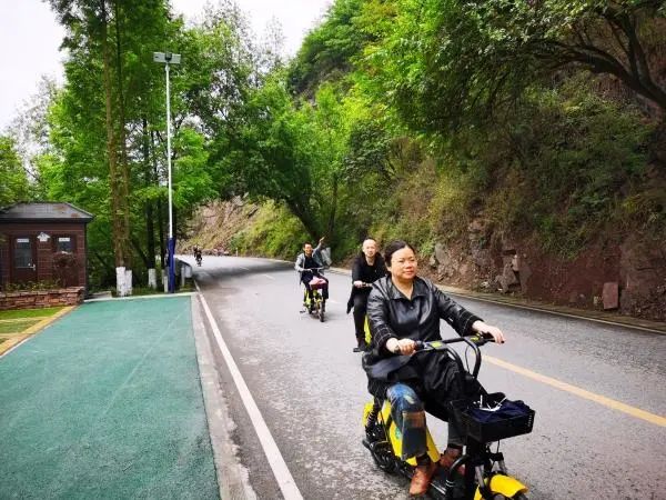 绿色出行骑自行车的视频,绿色出行就是要骑电动自行车