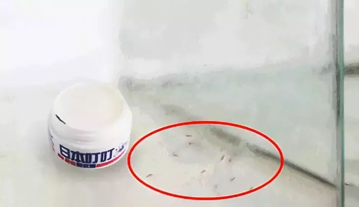 日本防蚊虫药膏,日本蚊子叮咬止痒膏儿童