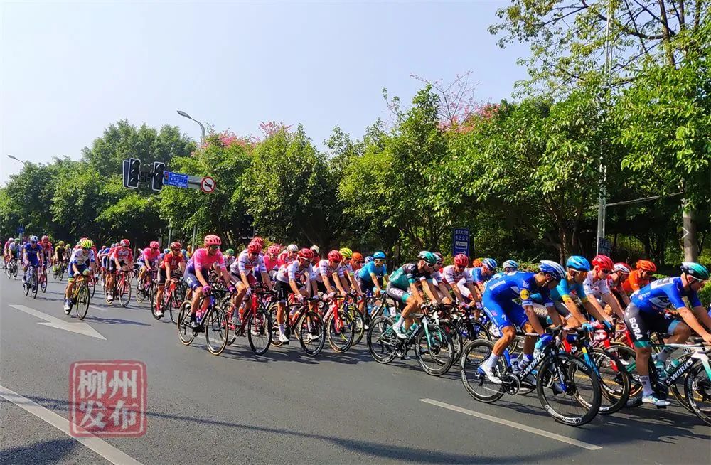 「畅游城中」一边运动，一边欣赏美景，小导游“成成”带你感受城中区倡导的健康生活