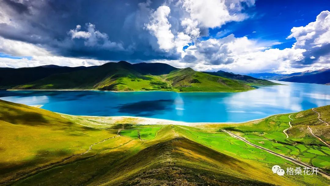 高原诗会张先生,高原诗会讲话