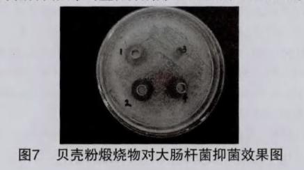 去除脚臭脚气脚出汗小妙招,光脚走路有效去脚臭