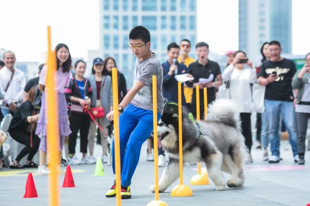 购物节公益活动,购物中心们的暖心公益活动盘点