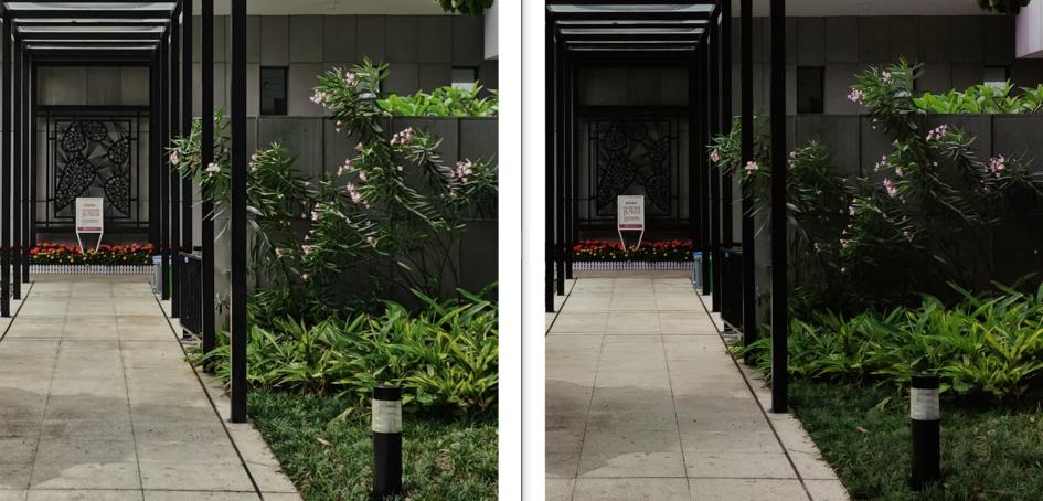 荣耀X10影像评测：4000万和6400万像素，谁更适合你？