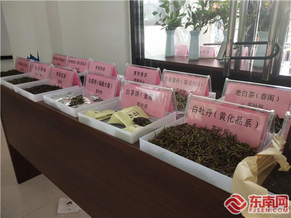 2021年5.21福建国际茶日活动,茶文化科普知识活动