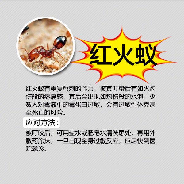 夏天防虫知识100条,夏季防虫叮咬小知识