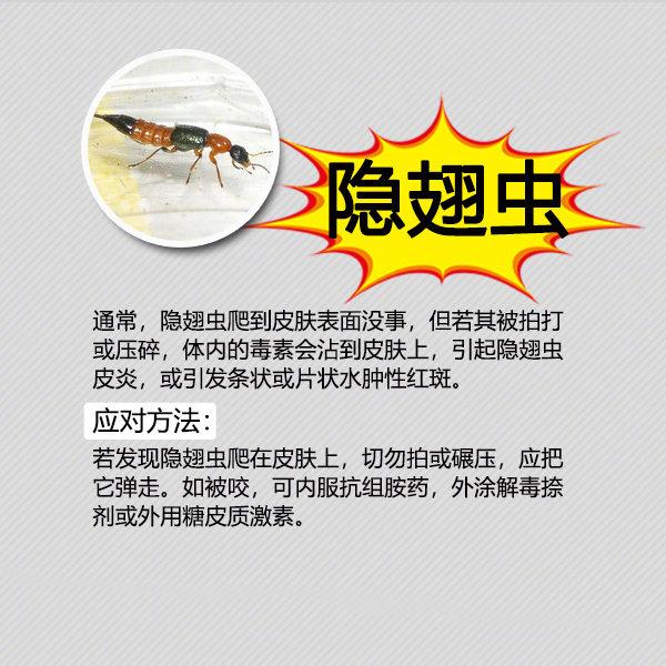 夏天防虫知识100条,夏季防虫叮咬小知识