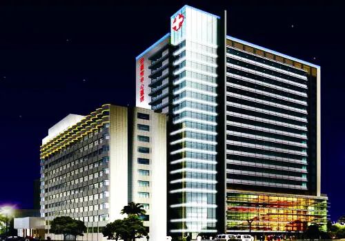 河南省中医院哪个医术最好,河南省最好的十大医院排名