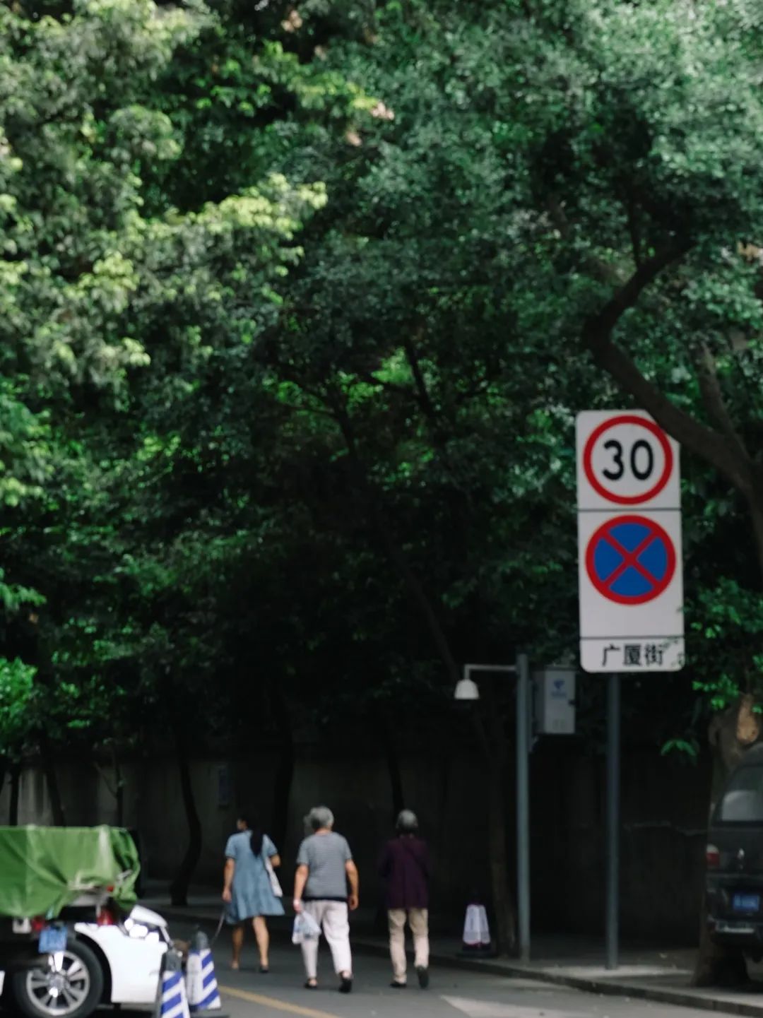 少陵路是属于哪个街道,三年前少陵路