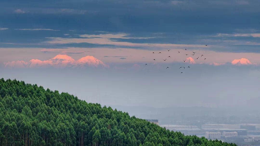 成都为啥人那么多,重庆成都为什么这么多人
