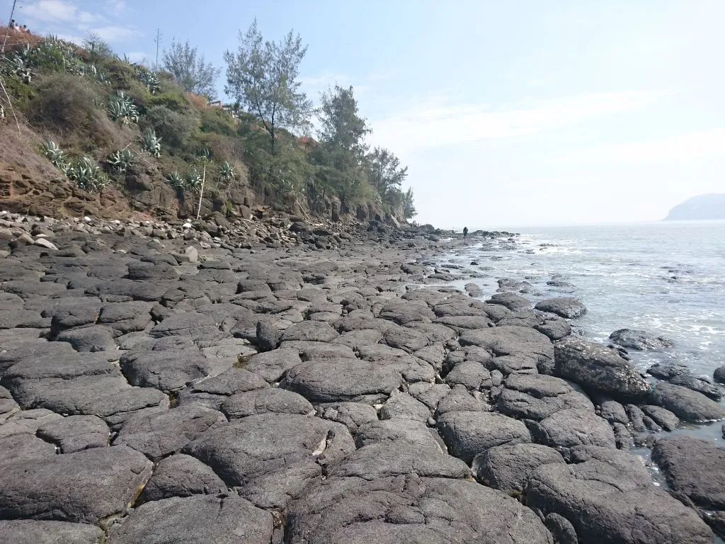 一半是火焰一半是海水啥意思,一半是火焰一半是海水全文