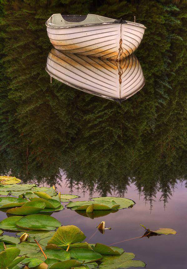 淮阳的荷花真美,又到了赏荷花的季节家门口的美景