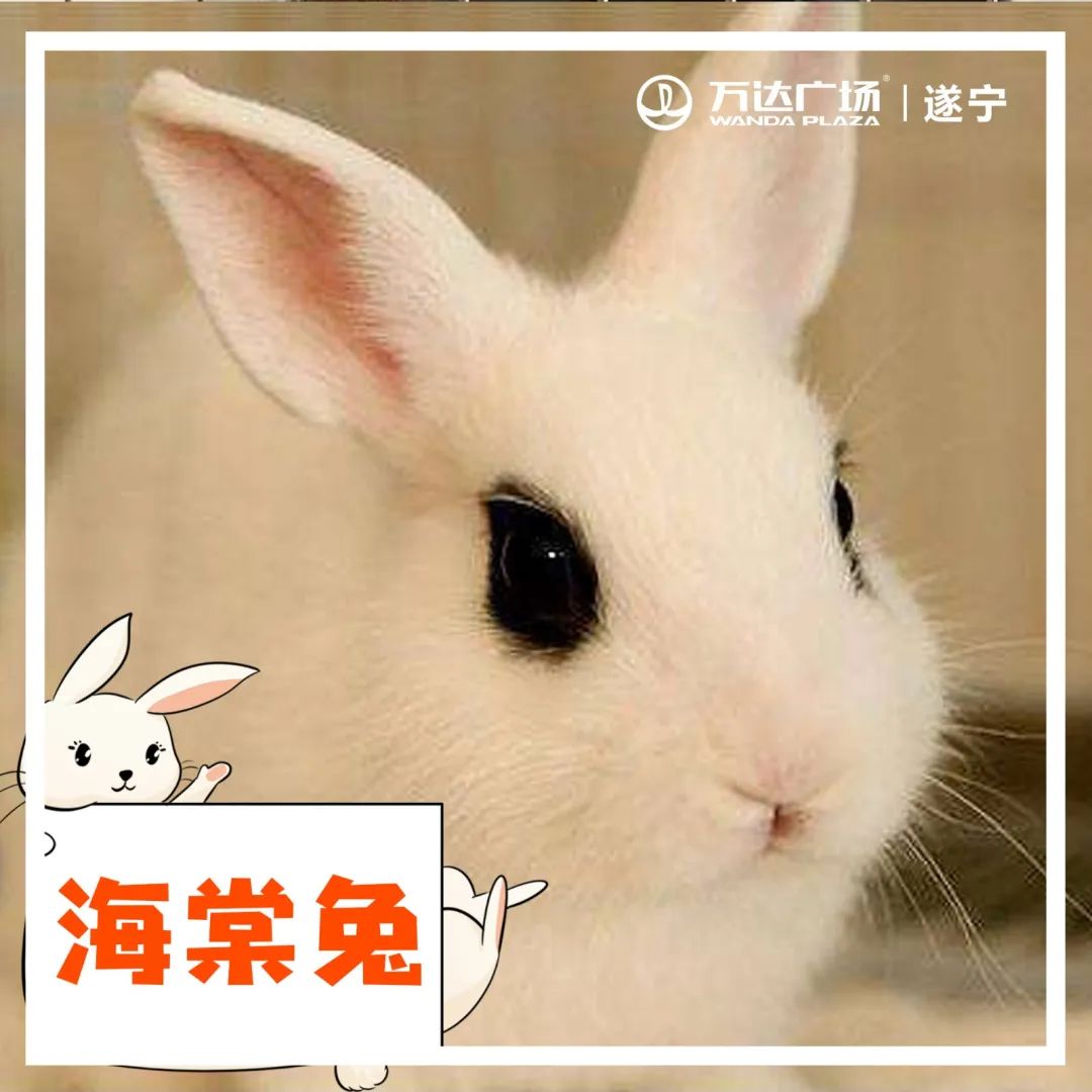 小宝贝解封后秒变“神兽”，这里有魔力啊