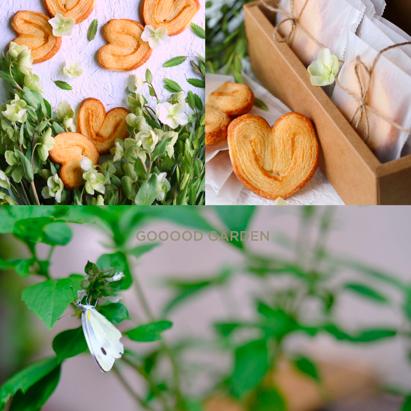 这个周末你又在玩什么手机游戏,这个周末你有什么新的体验