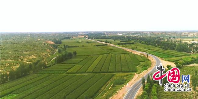 灏忓北鏉戠殑澶у彉闈╄档瀹跺硜,灏忓北鏉戝ぇ宸ㄥ彉