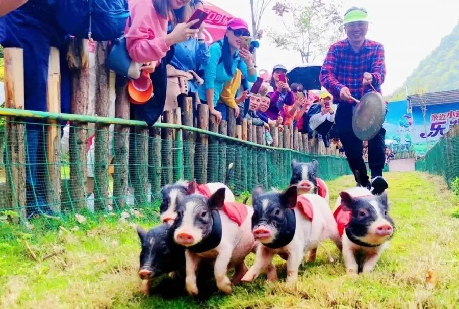 大朋友小朋友，六一去哪嗨？宜昌14家景区特惠福利来袭！