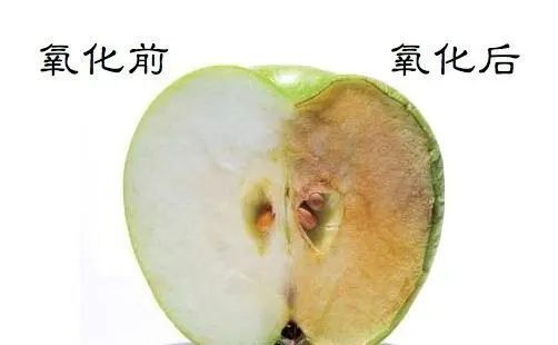 啤酒消痘痘,喝啤酒会消除痘痘吗