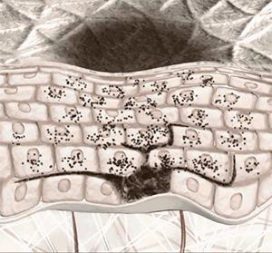 想好好过真的那么难吗,想白到发光有那么难吗