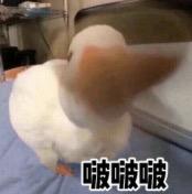 儿童节有什么不要钱的礼物,超实用的儿童节礼物清单来啦