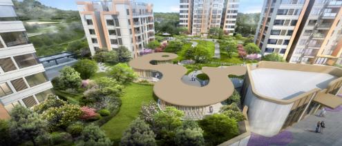 day9,day9的价目表