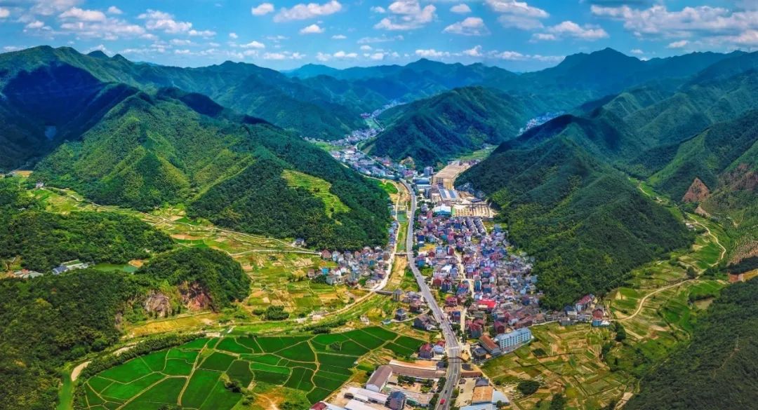 1元秒杀！富阳这个乡乡长“带货”啦！