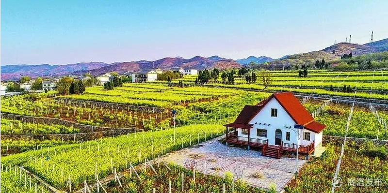 丹凤县2019年未来发展规划,丹凤经济发展规划