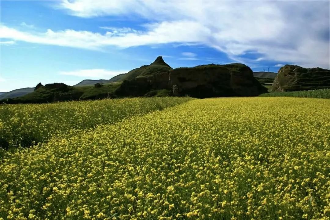 藏王故里冰川之乡,藏王故里避暑天堂