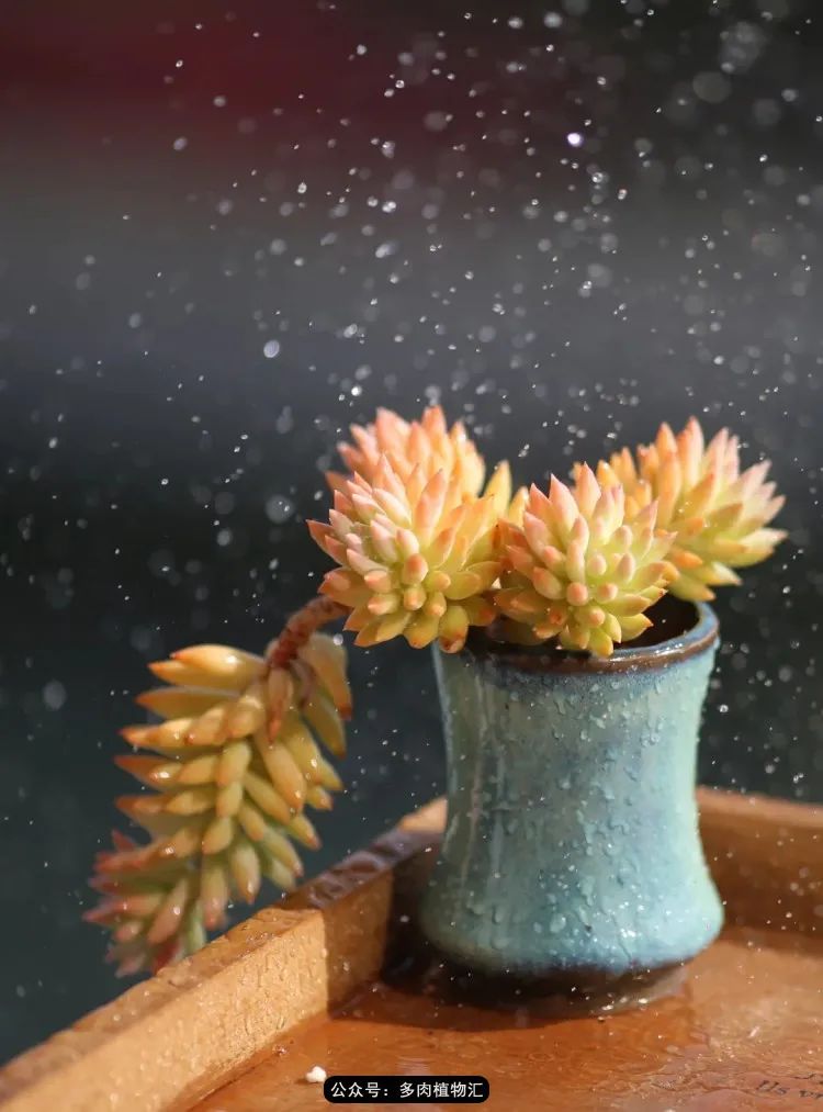 专注于自己喜欢的事情,专注于自己喜爱的事情