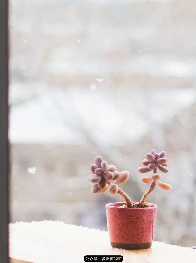 专注于自己喜欢的事情,专注于自己喜爱的事情