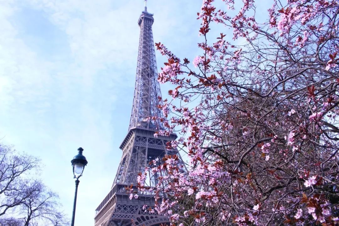 塞纳河畔旧书摊,塞纳河畔旧书摊的故事