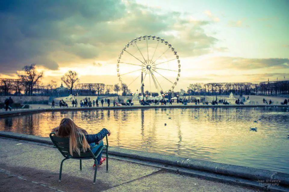 塞纳河畔旧书摊,塞纳河畔旧书摊的故事