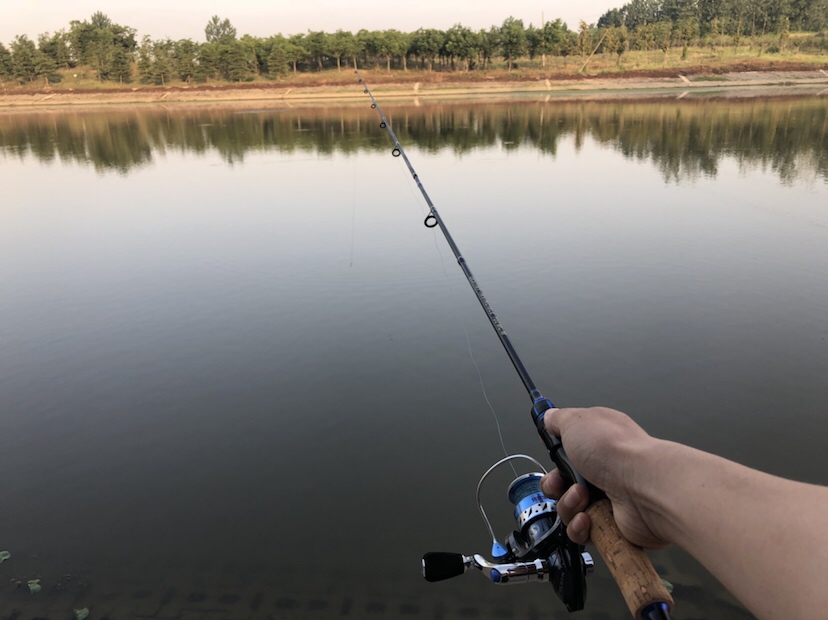 新路亚鱼竿到手要干嘛,新路亚竿子到手硬吗