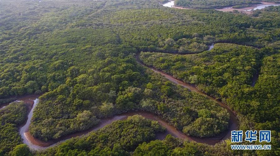 国际海洋保护日幼儿园,世界海洋日守护地球
