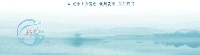 閽﹀窞鐜板湪瀹忚璋冩帶,鎺ㄨ繘鏀跨瓥钀藉疄鍔╁姏鍏ǔ鍏繚