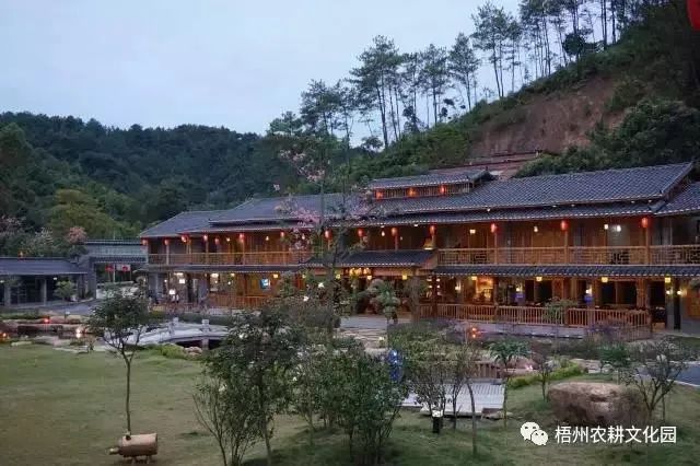 来梧州，体验岭南文化，吃遍大街小巷|“广西人游广西”精品自驾游路线