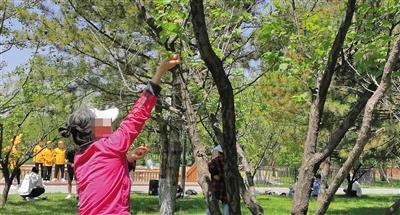 小区神器,小区内遛狗不拴绳怎样整治