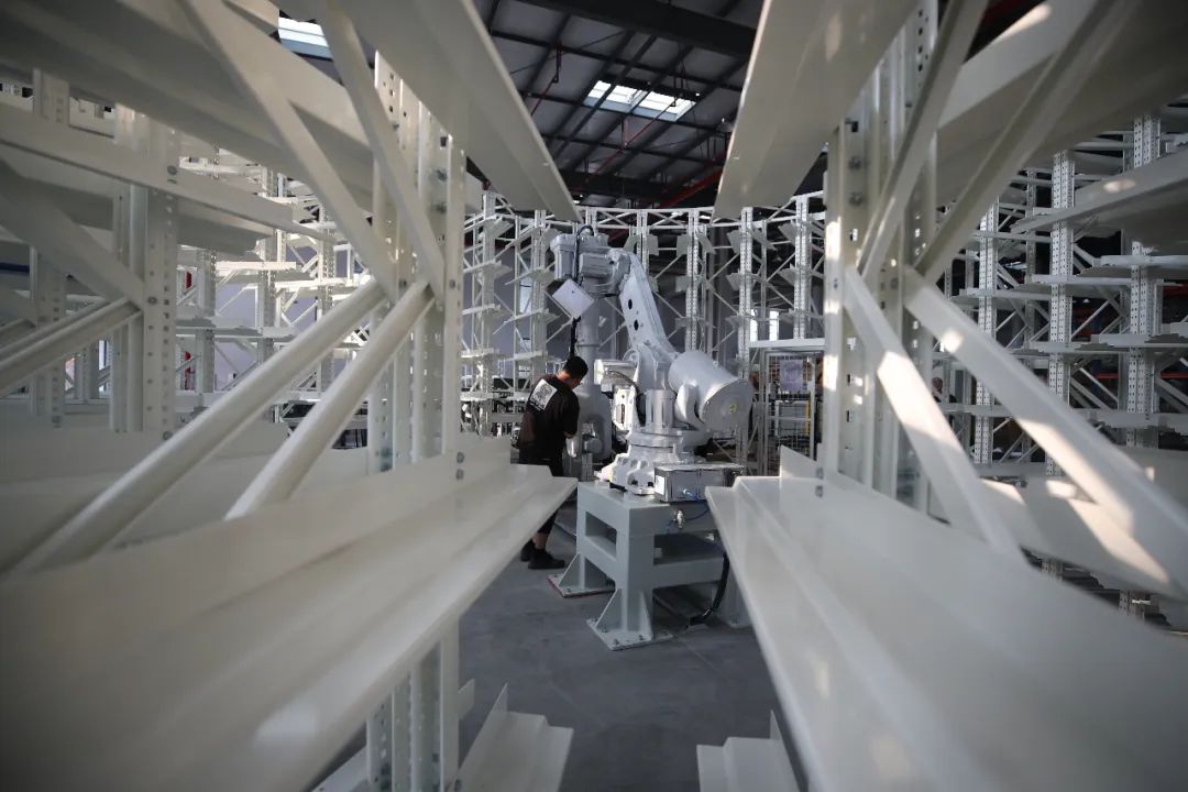 张立宪聪明与笨拙|封面人物