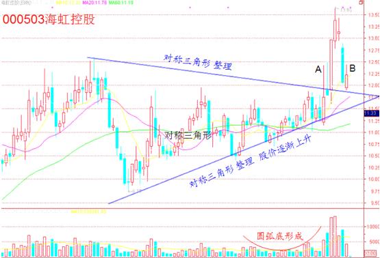 十年前买入中国石化现在赚多少,十年前买入1000股贵州茅台