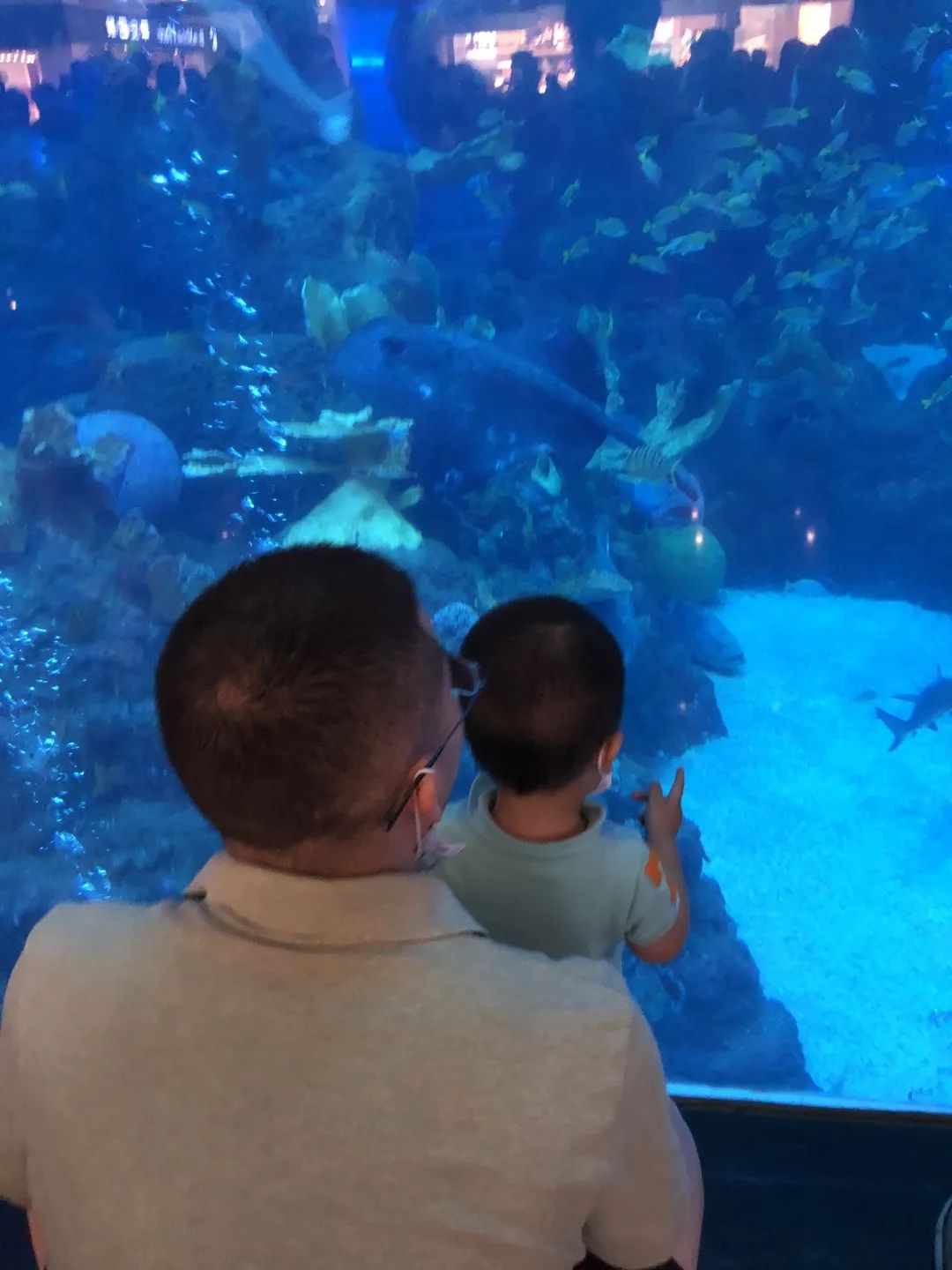 四川耙耳朵的爸爸,成都耙耳朵爸爸