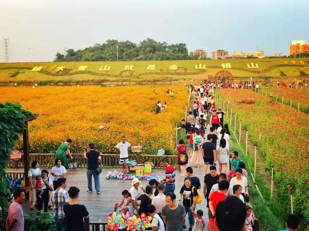 城市三水新机遇｜新乡村发展美丽经济打开湾区第二空间