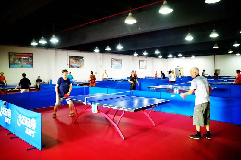 体育局工作思路,体育局社会实践计划