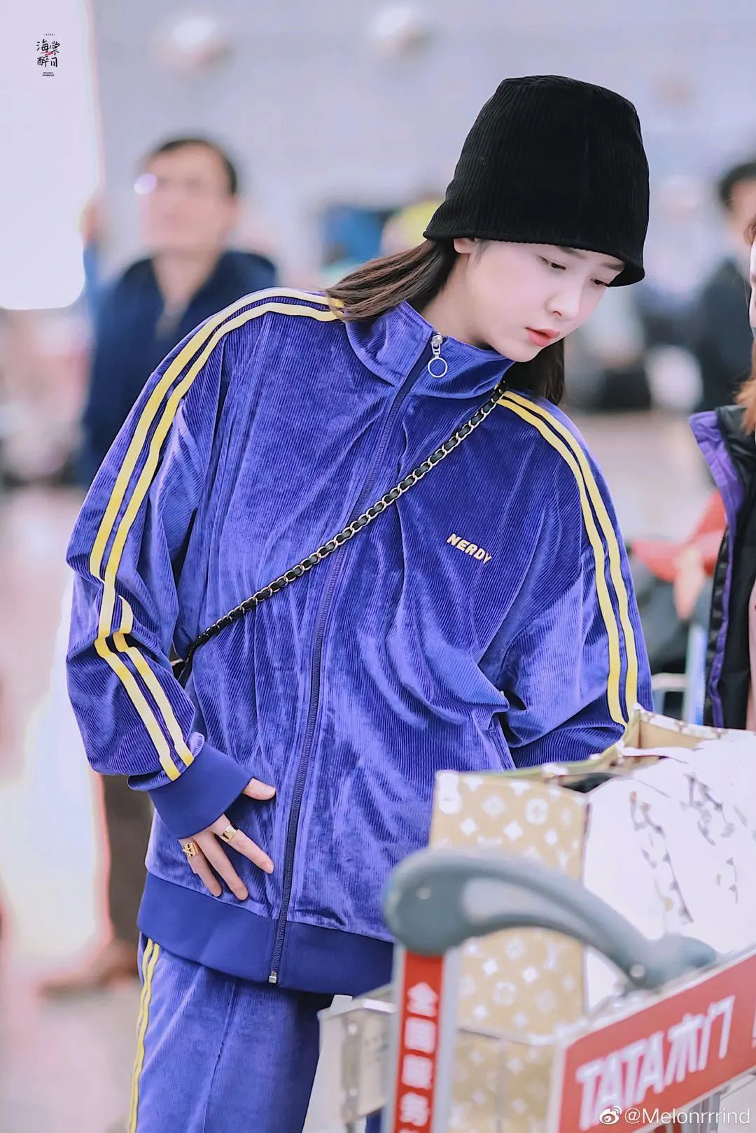 被女生刷屏,明星火爆同款