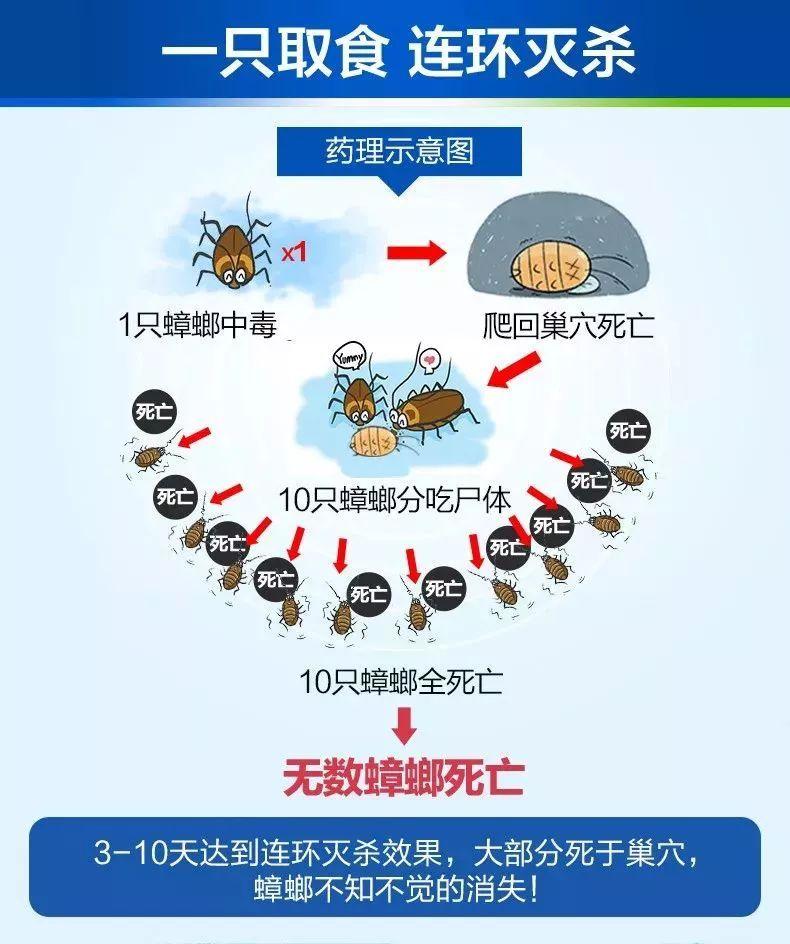 我不允许你花一分钱完整版,我不允许你们花一分钱什么梗